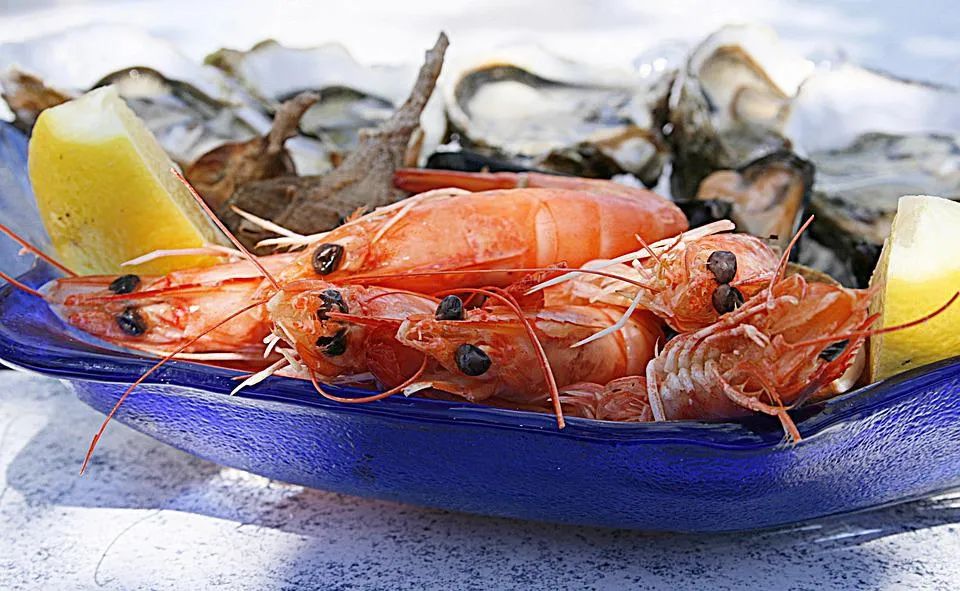 中疾控发布国人食物过敏研究：虾、芒果和贝类等是常见过敏原