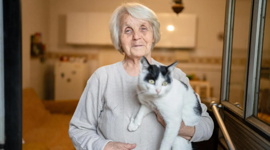 研究“猫患者”有望破解阿尔茨海默病